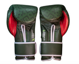 Cleto Reyes Mexican Collection Hook & Loop Training Gloves – Green