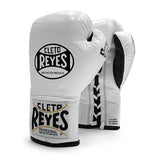 OFFICIAL CLETO REYES SAFETEC BOXING GLOVES
