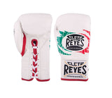 OFFICIAL CLETO REYES SAFETEC BOXING GLOVES